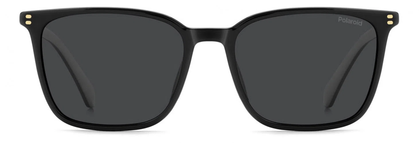 Polaroid Core PLD4207 Sunglasses - view 6